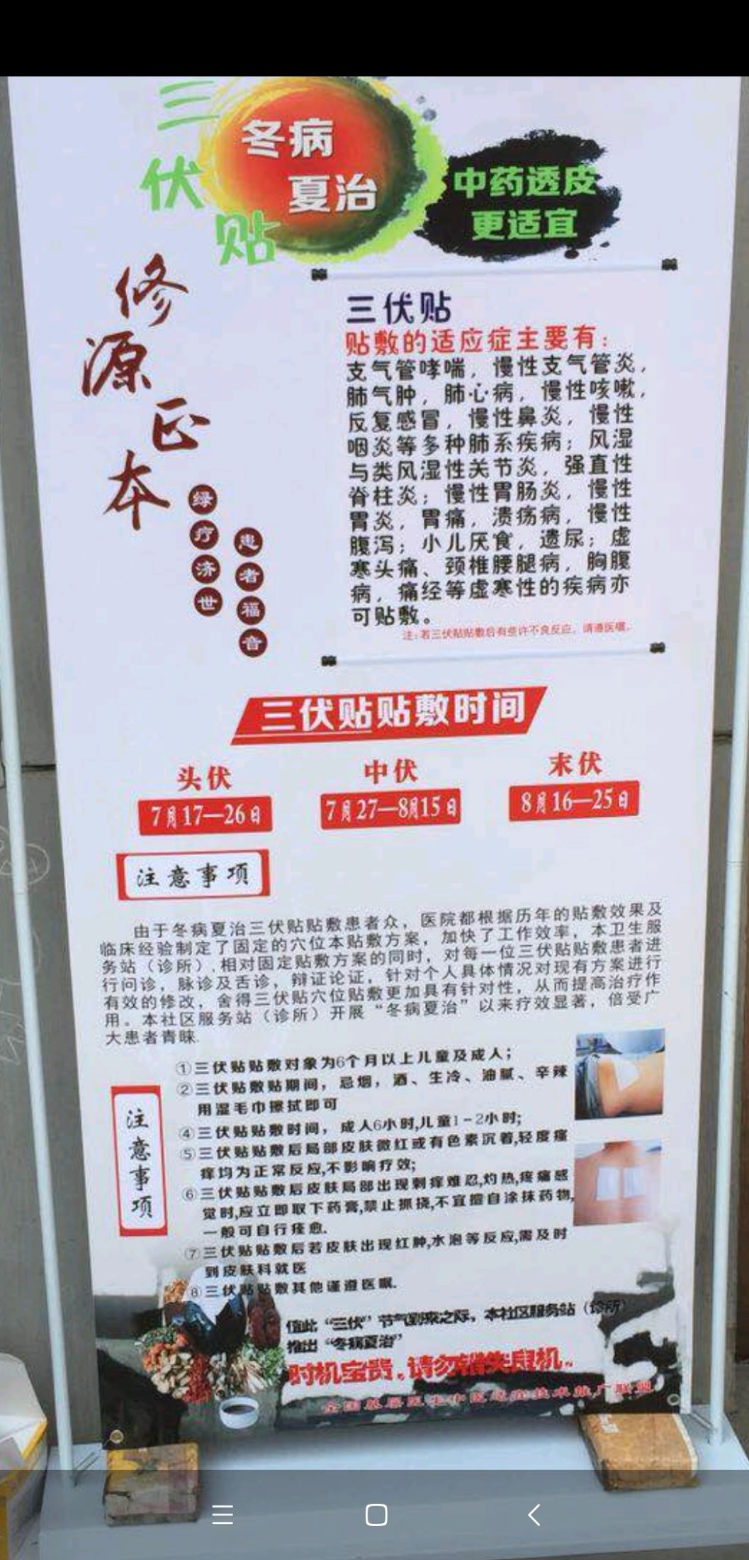 1、介紹三伏貼敷