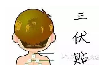 1、三伏貼有用嗎？效果好嗎？