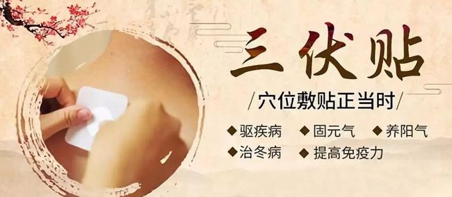 1、三伏貼要連續(xù)貼幾天