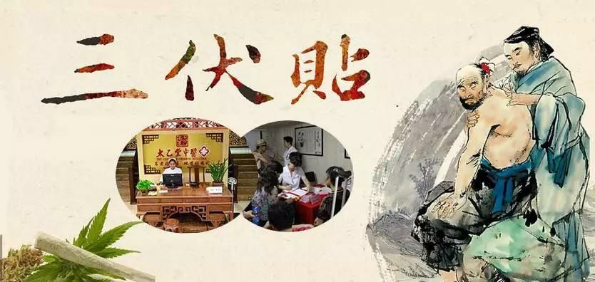 2、什么是三伏貼？三伏貼的作用？